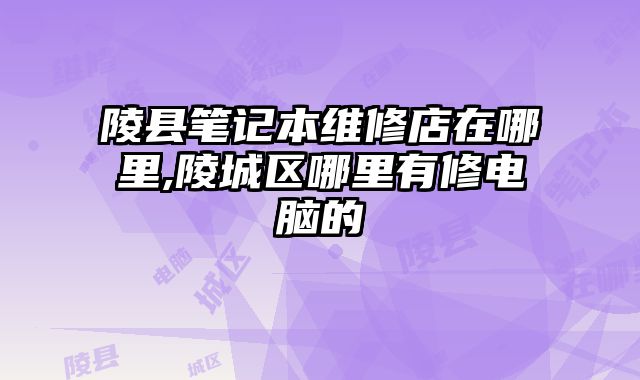 陵縣筆記本維修店在哪里,陵城區哪里有修電腦的
