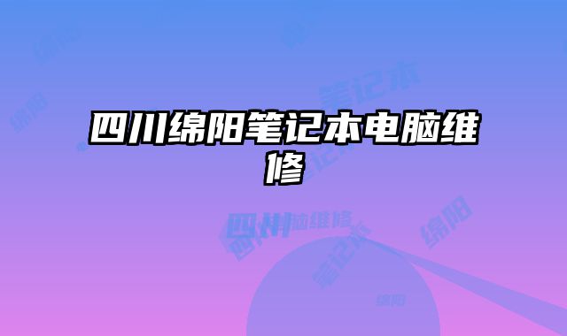 四川綿陽筆記本電腦維修
