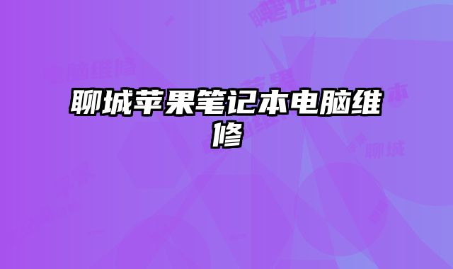 聊城蘋果筆記本電腦維修