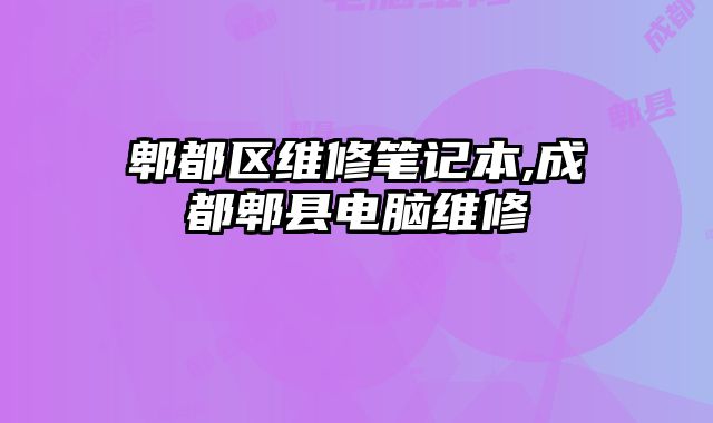 郫都區維修筆記本,成都郫縣電腦維修