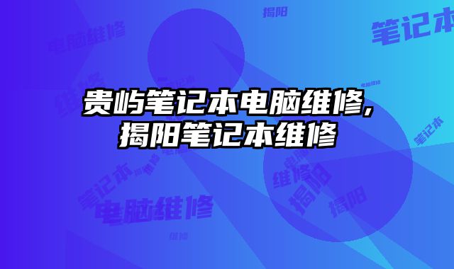 貴嶼筆記本電腦維修,揭陽筆記本維修